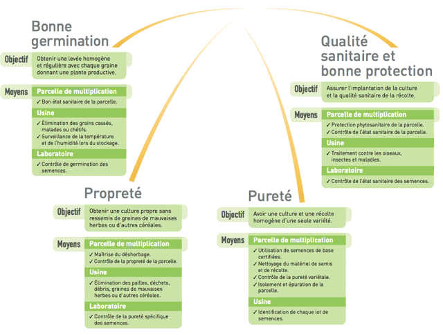 Les qualités de la semence certifié Plan semence certifié
